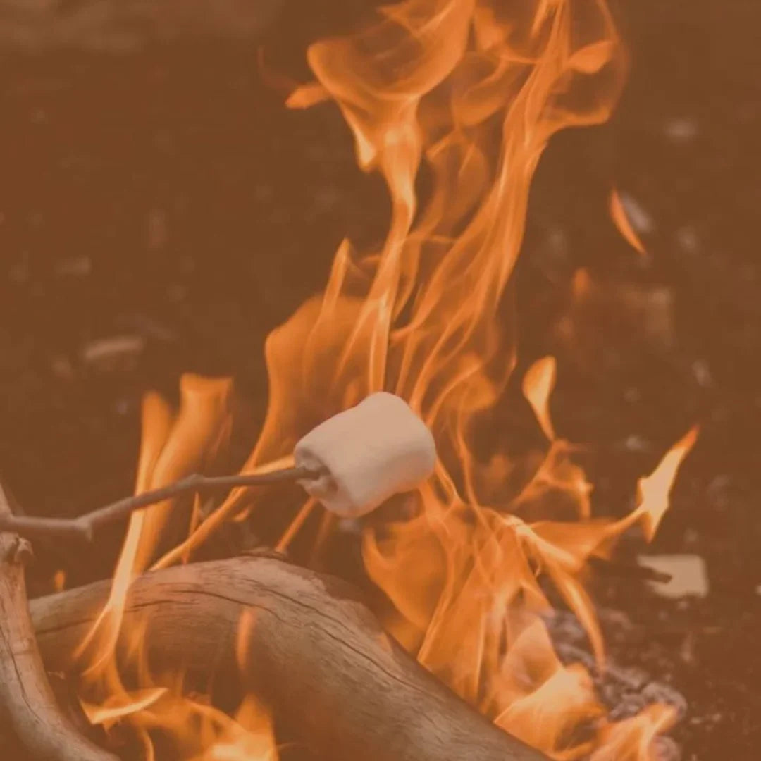 Top Reading Glasses Frames for Autumn Vibes - Seasonal Picks - ministry of sight