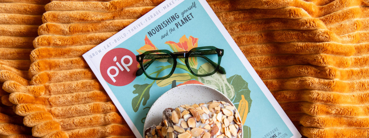 Reading Glasses Lens Coatings: What to Know