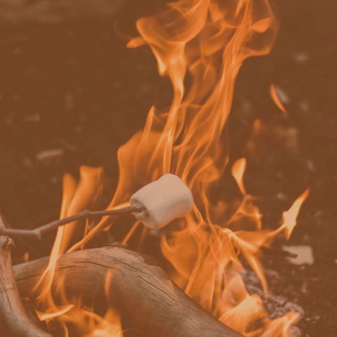 Campfire with marshmallow autumn vibes